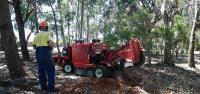 Tree Surgeons of WA image 3